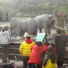 台北動物園